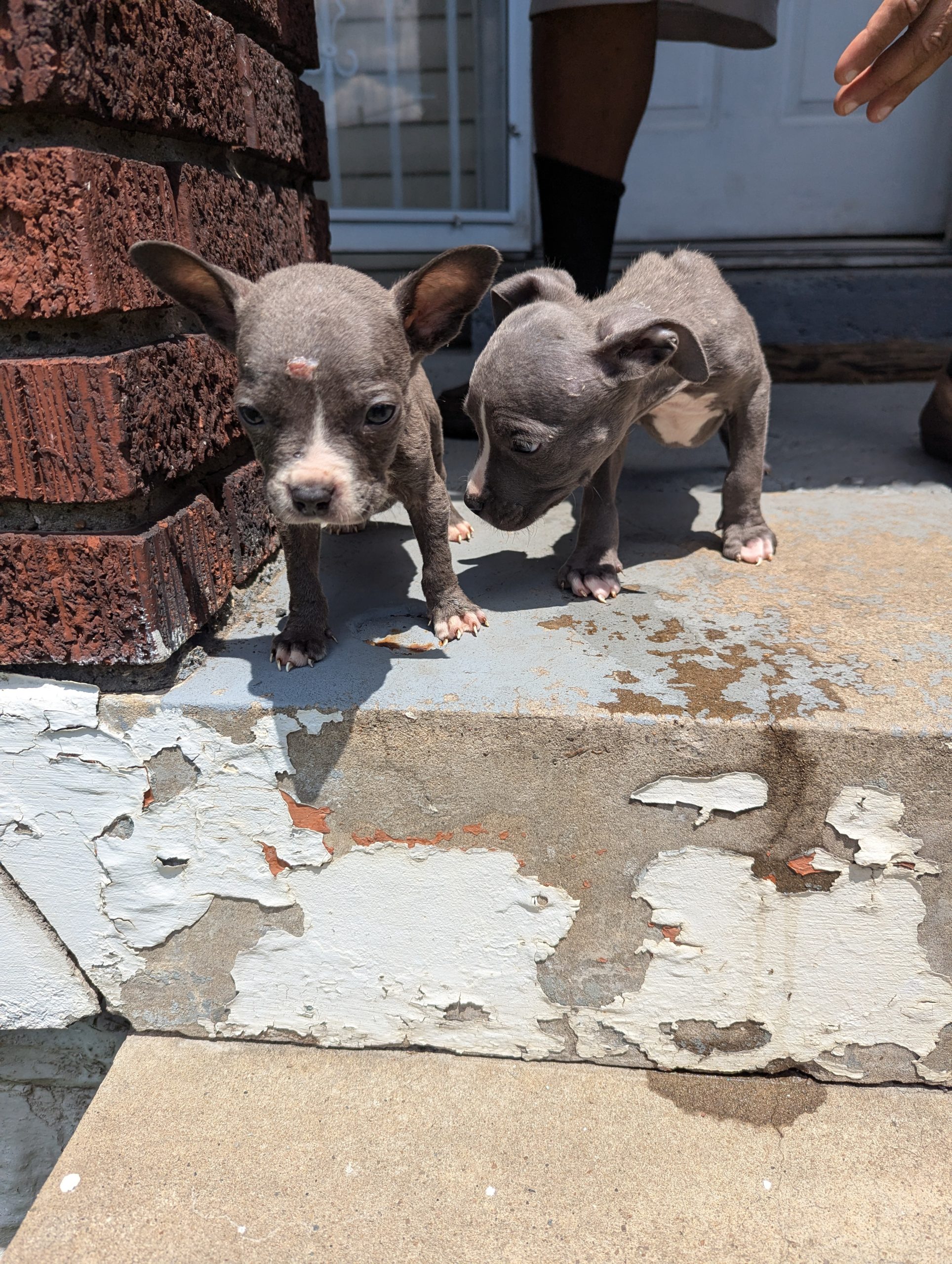 20240707 Cameron Outreach (1)