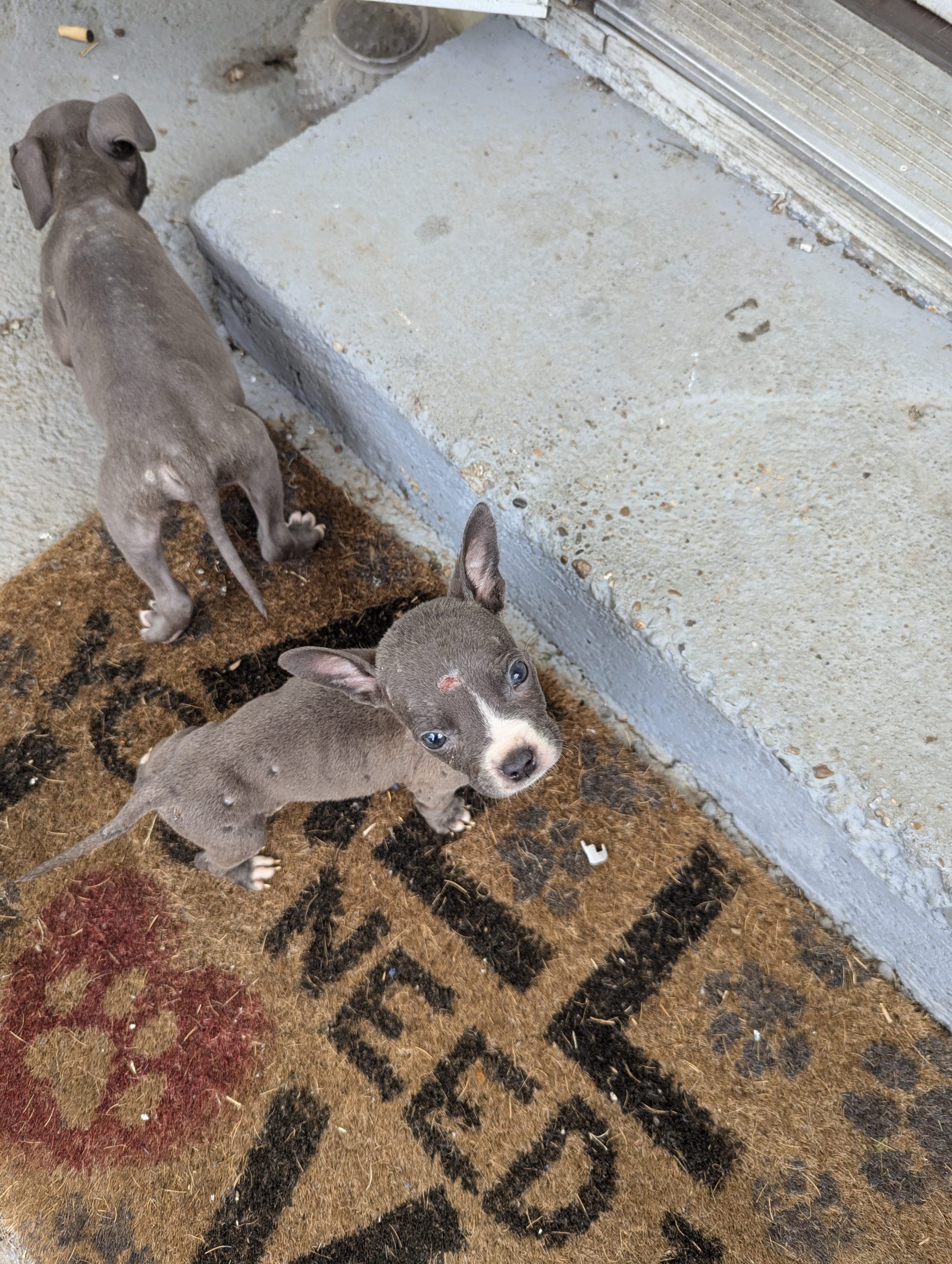 20240707 Cameron Outreach (2)