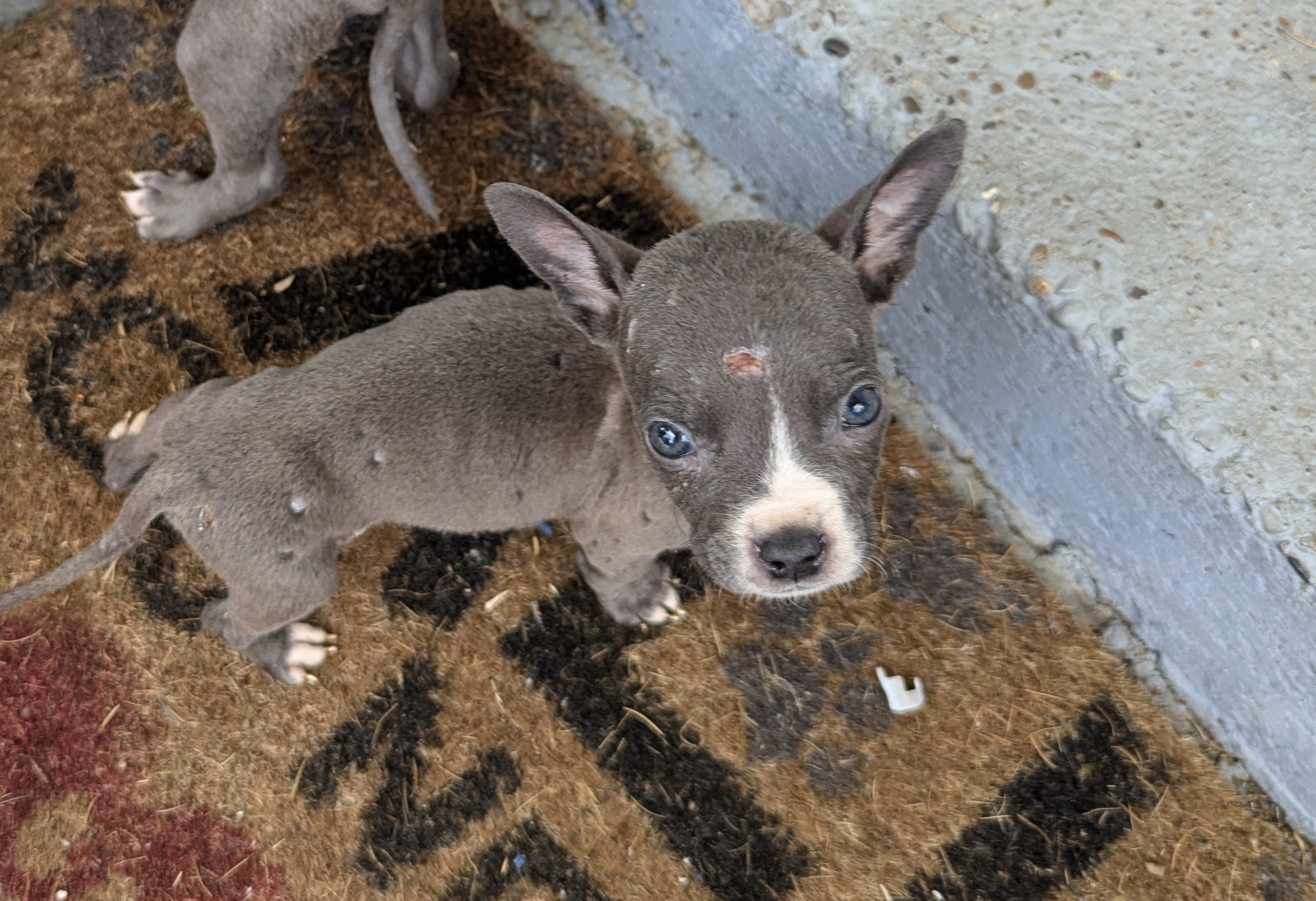 20240707 Cameron Outreach (8)