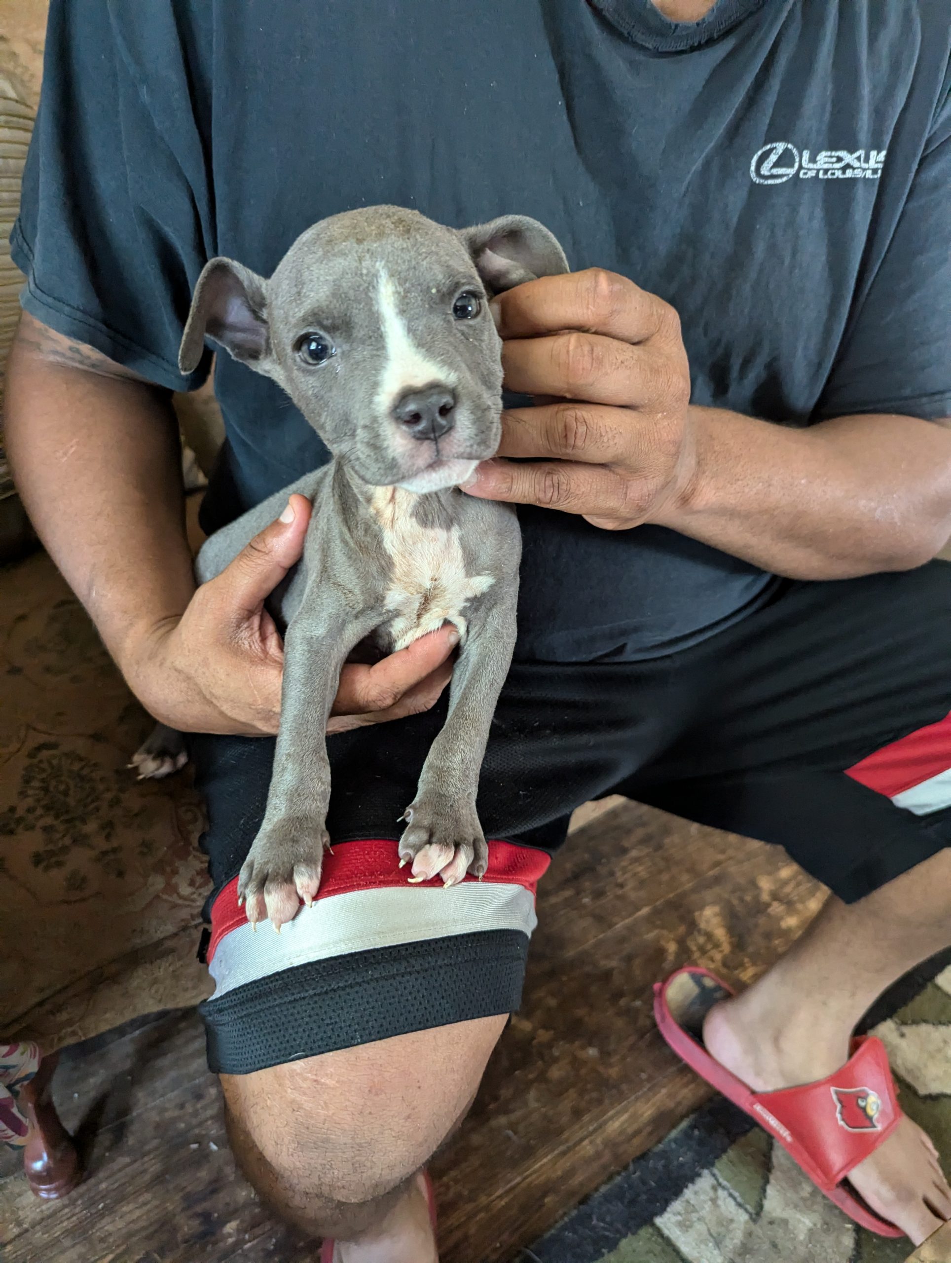 20240715 Cameron Outreach