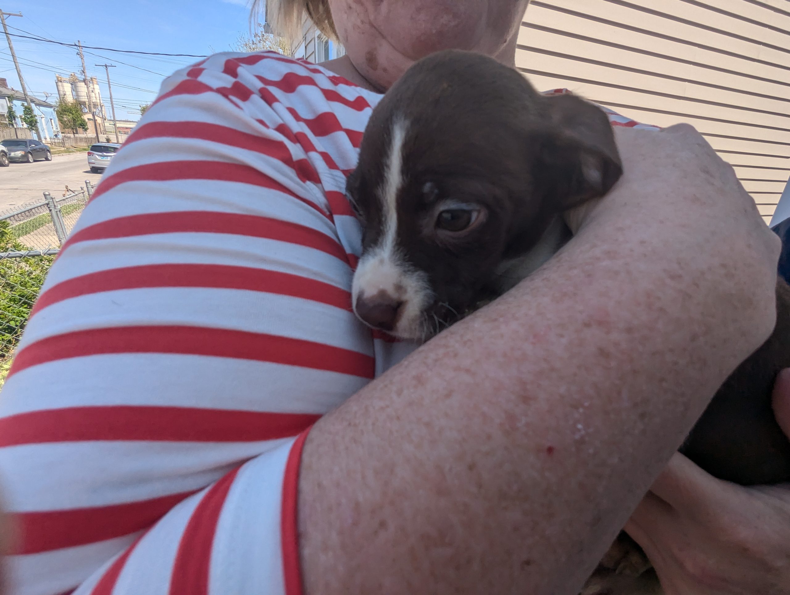 20250416 Joye Outreach (3)