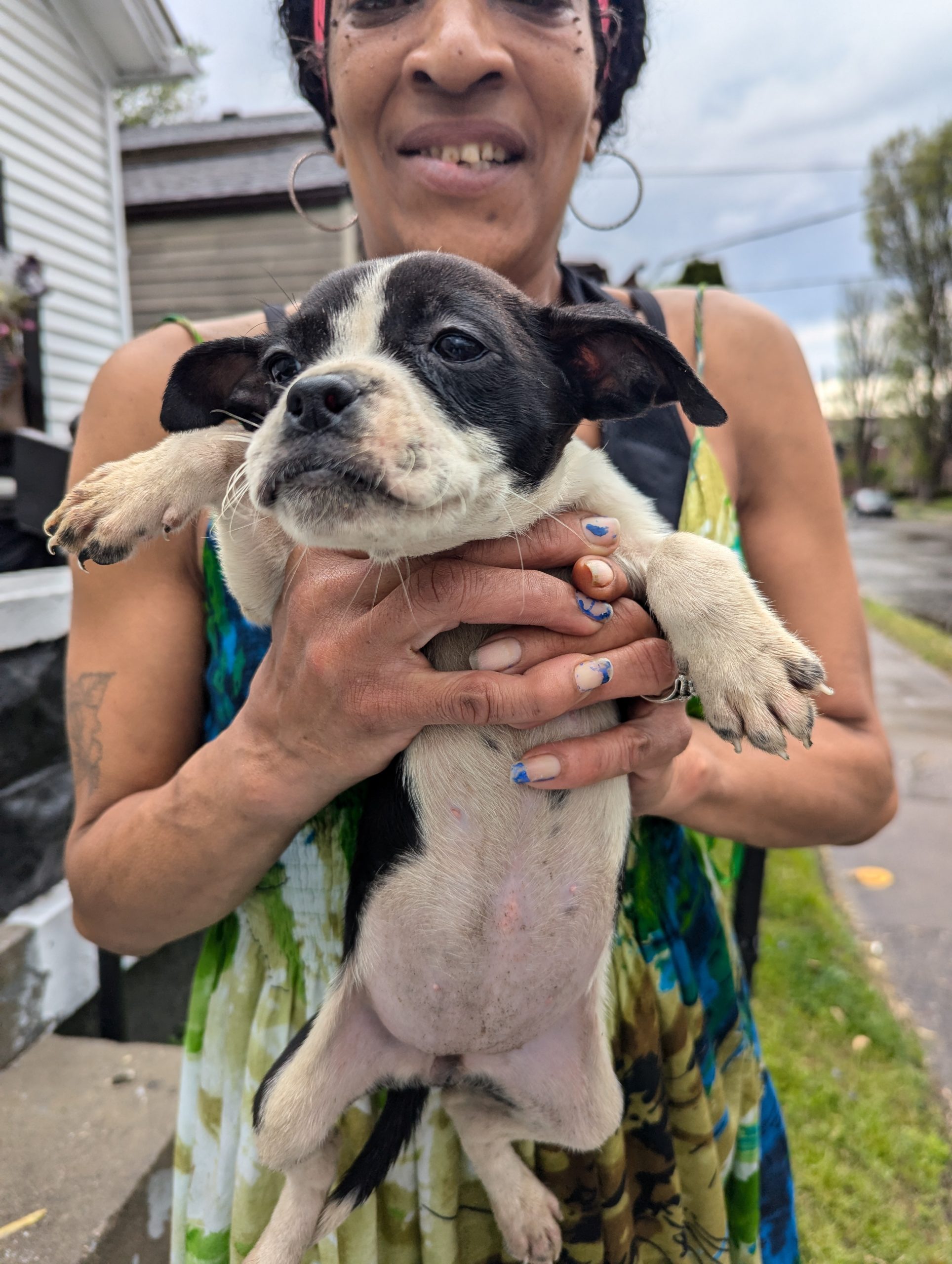 20250419 Joye Outreach Pet Familly (7)