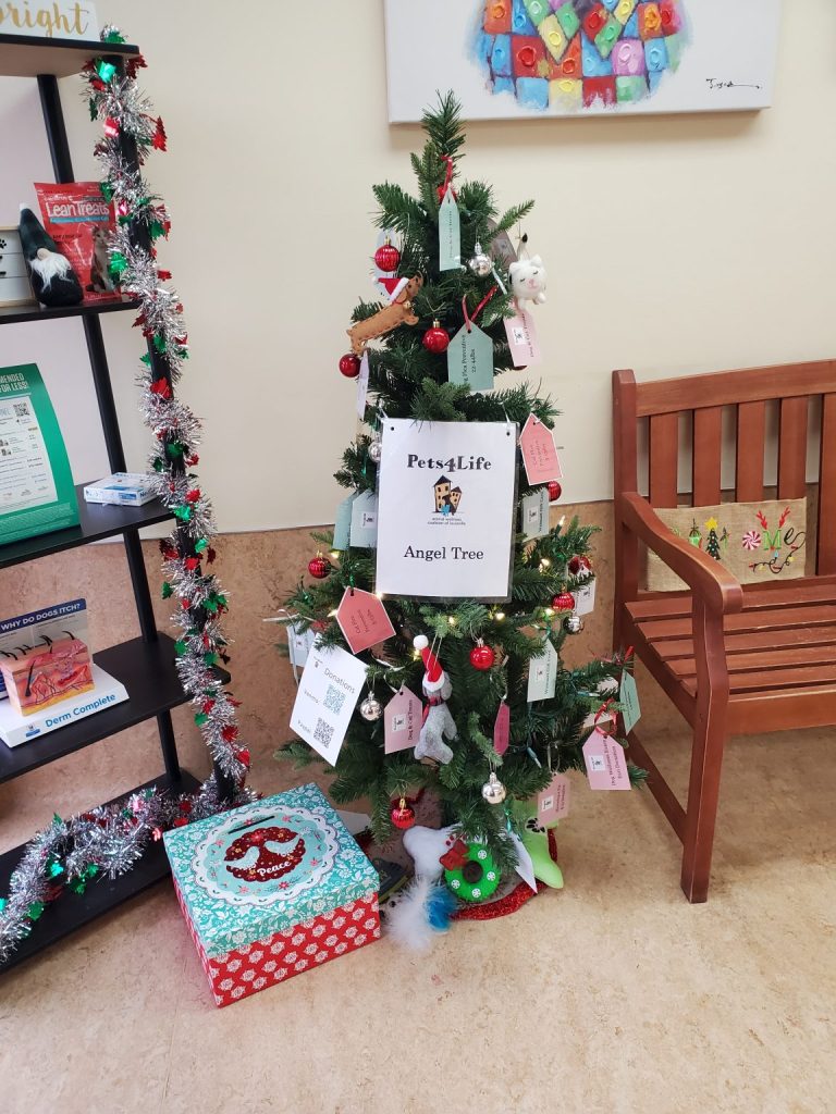 🎄🐾 A Recap of the Angel Tree Drive: Thanks to You, Paws and Hearts Were Touched! 🎁✨