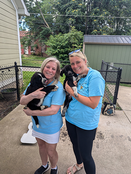 Mid-Year Update: Making Strides with the Petsmart Charities Incubator Grant