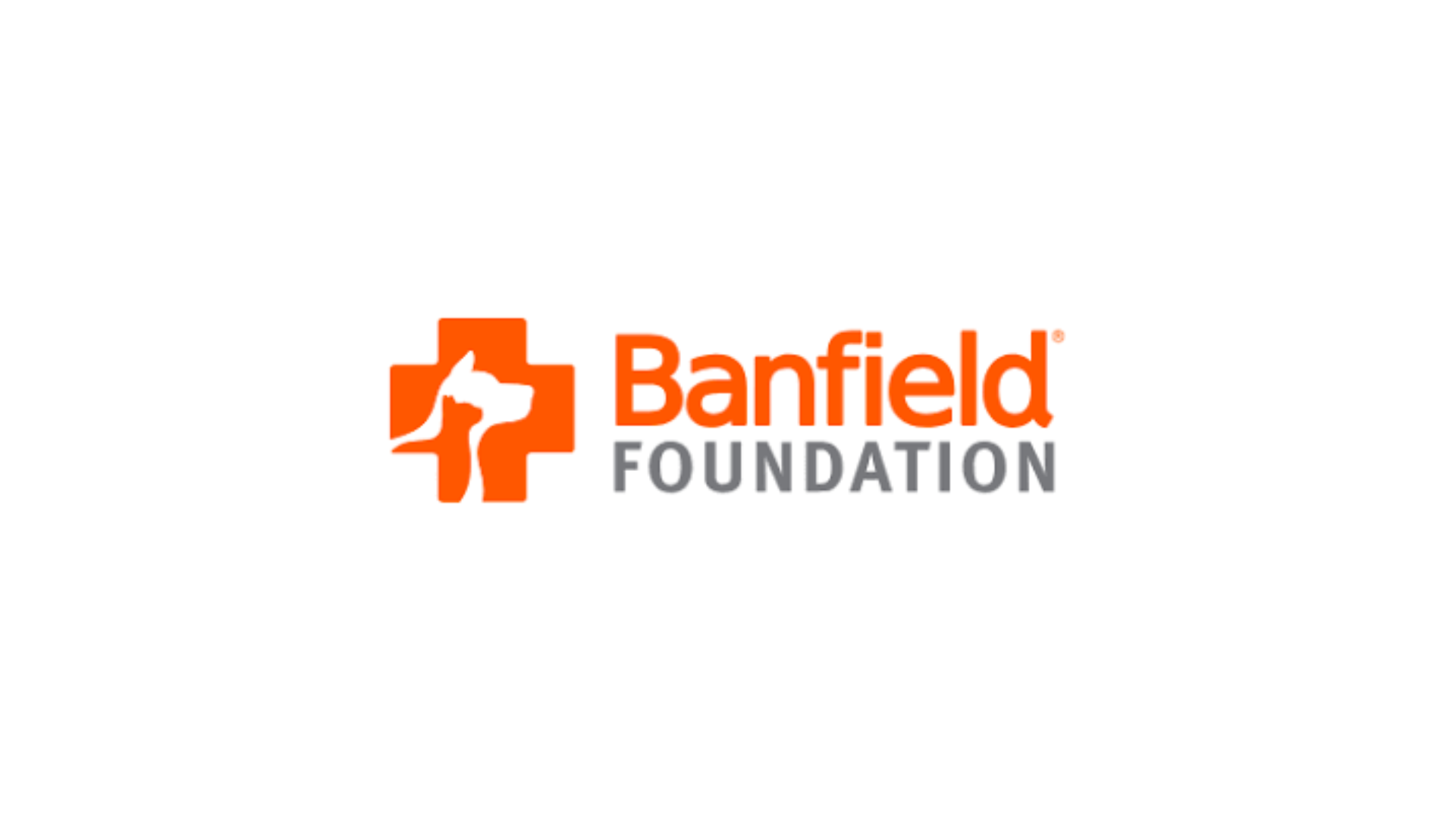 Press Release: Pets4Life Receives Community Care Grant